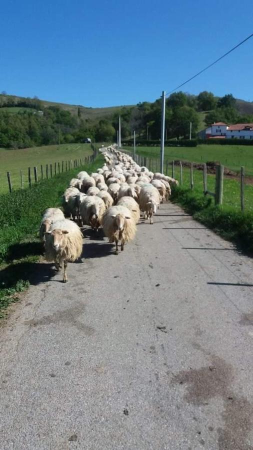 Gite A La Ferme Larranda Suhescun Buitenkant foto