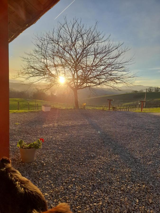 Gite A La Ferme Larranda Suhescun Buitenkant foto
