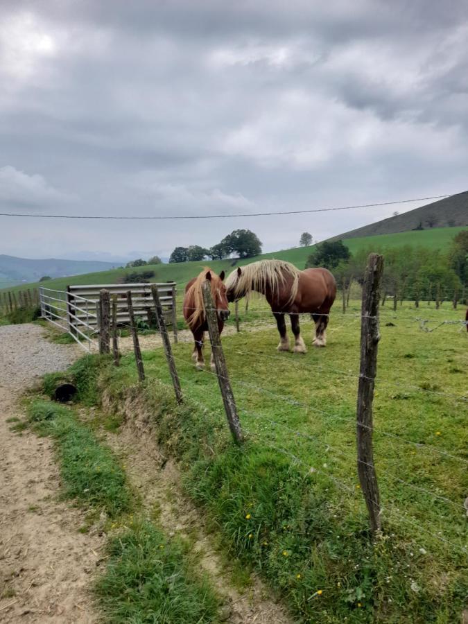 Gite A La Ferme Larranda Suhescun Buitenkant foto